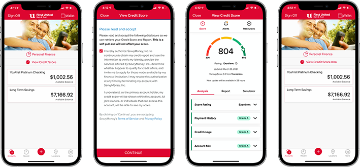 Credit Insights - Fidelity Bank