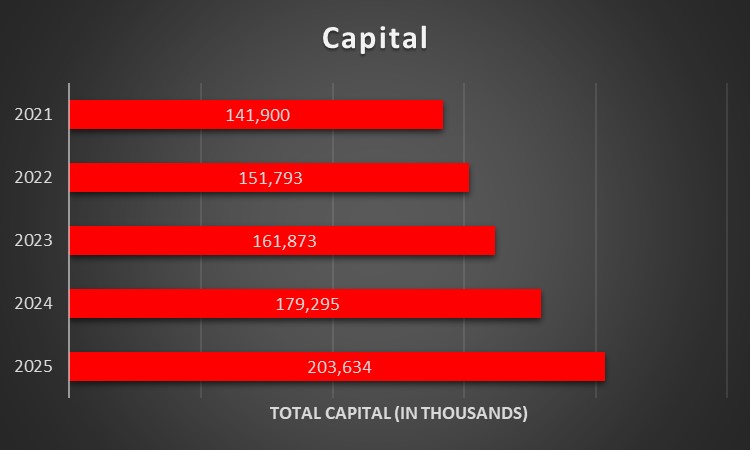 Capital Table