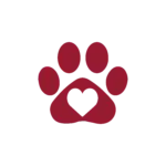 Pet Insurance icon
