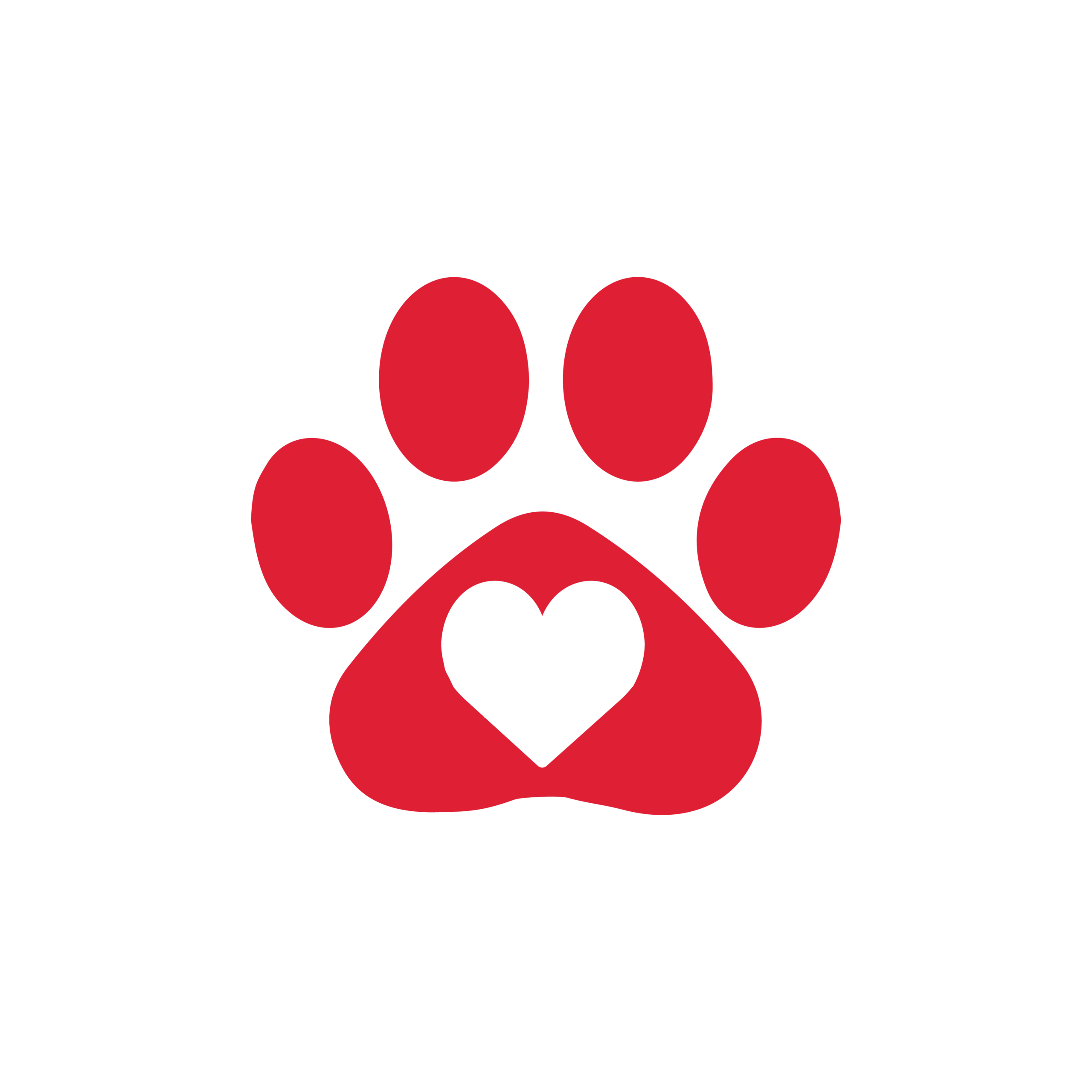 Pet Insurance red icon